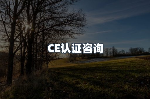 电子电器CE认证